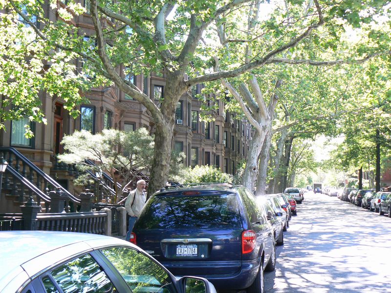 park slope: park slope 2